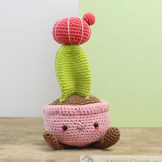 Maan Cactus haakpakket