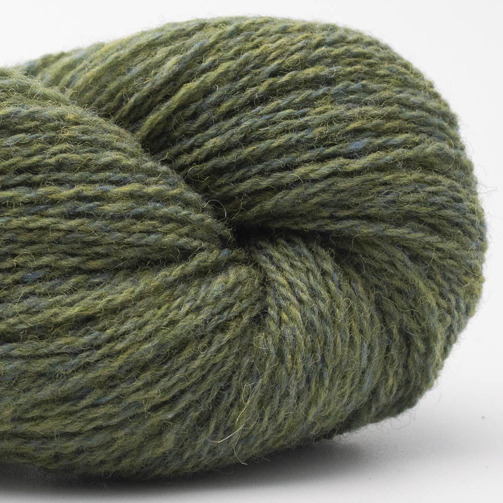 BC Garn Bio Shetland GOTS in 56 dark green – Hoogwaardige wol voor brei- en haakprojecten