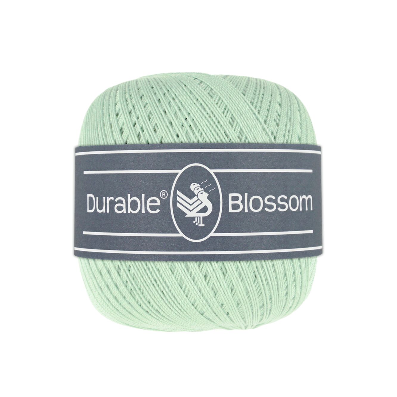 Blossom