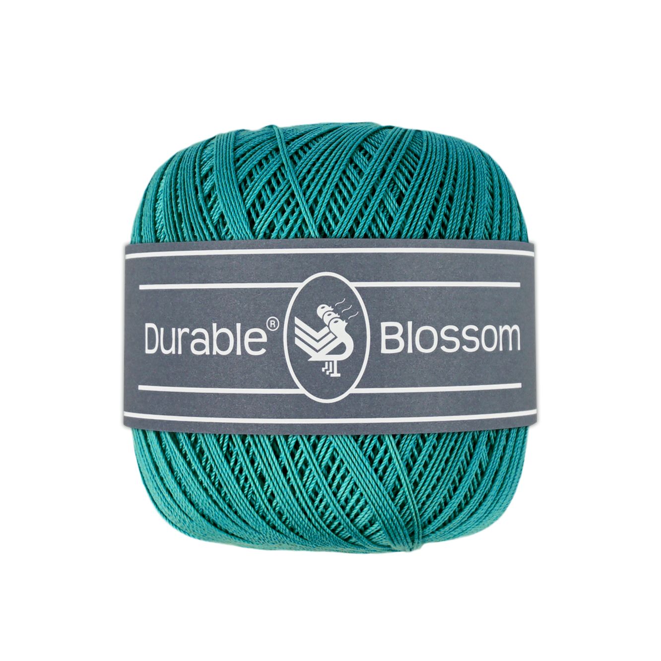 Blossom