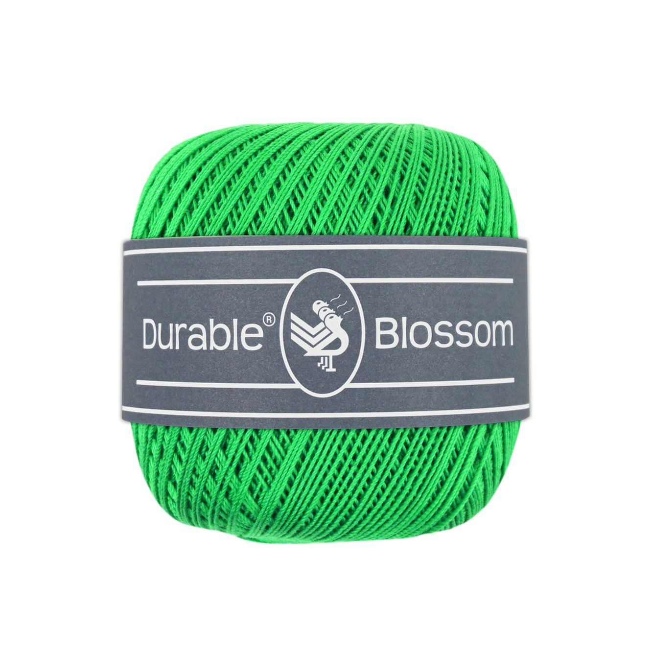 Blossom