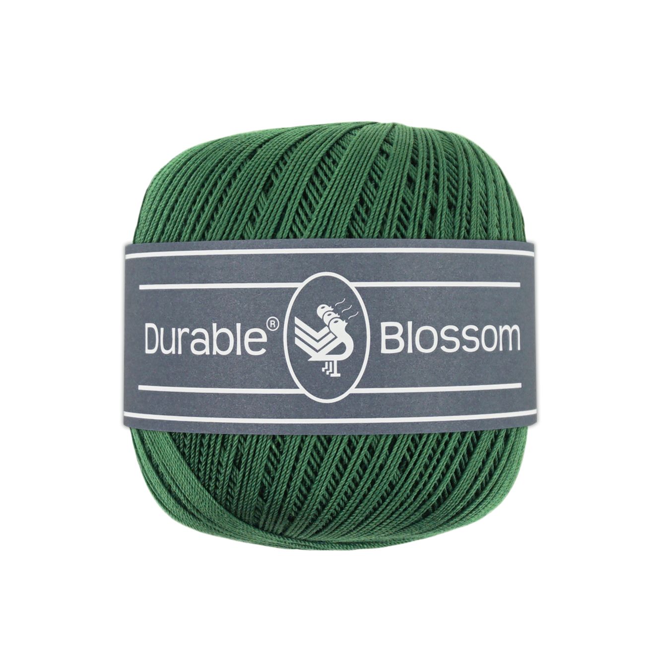 Blossom