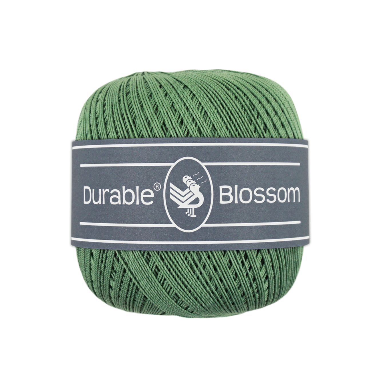 Blossom
