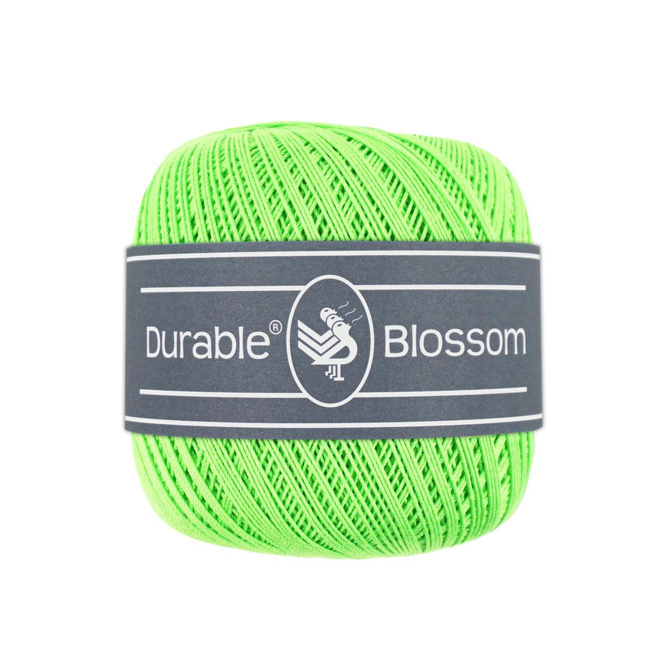 Blossom