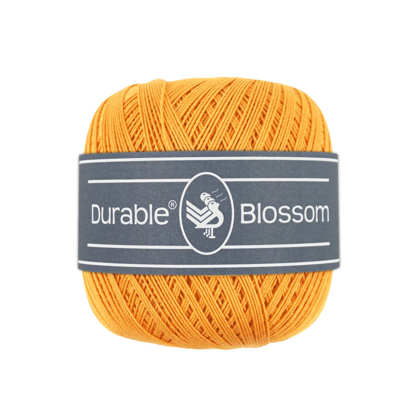 Blossom