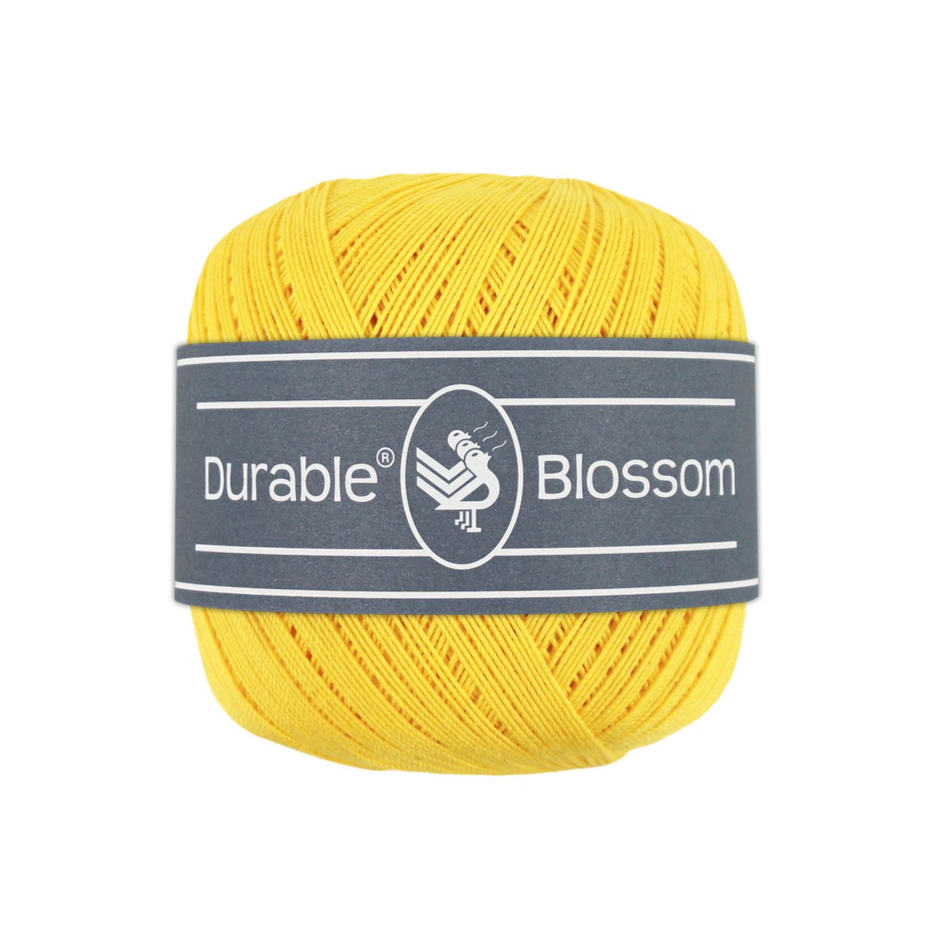 Blossom
