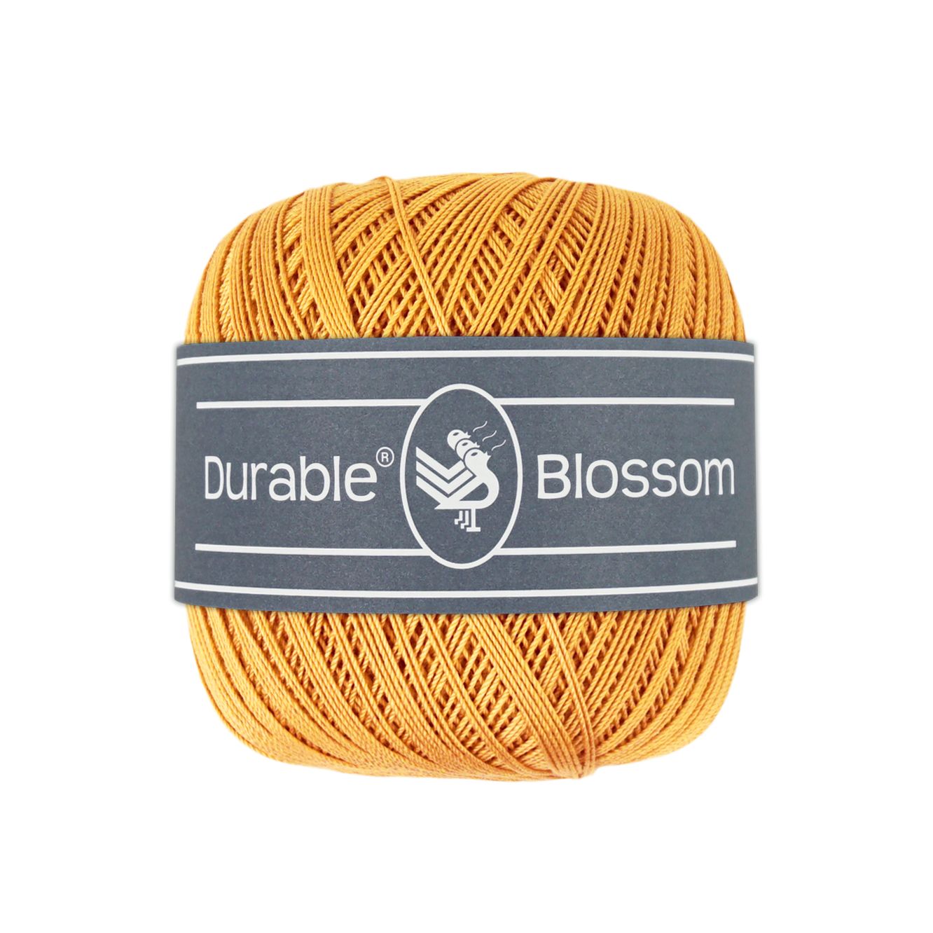 Blossom