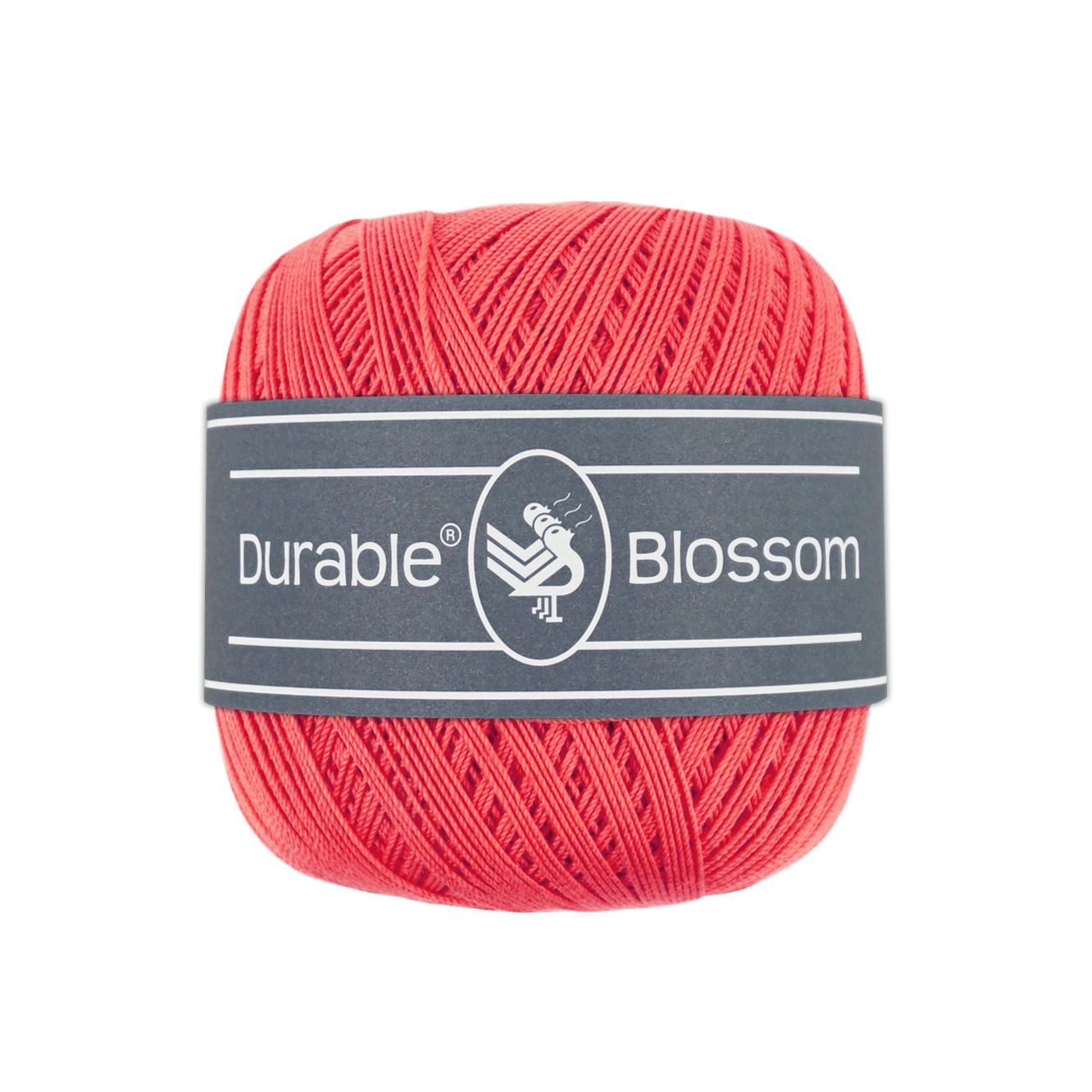 Blossom