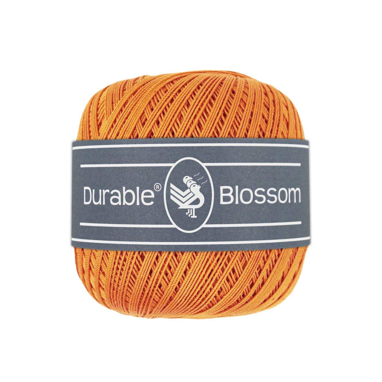Blossom