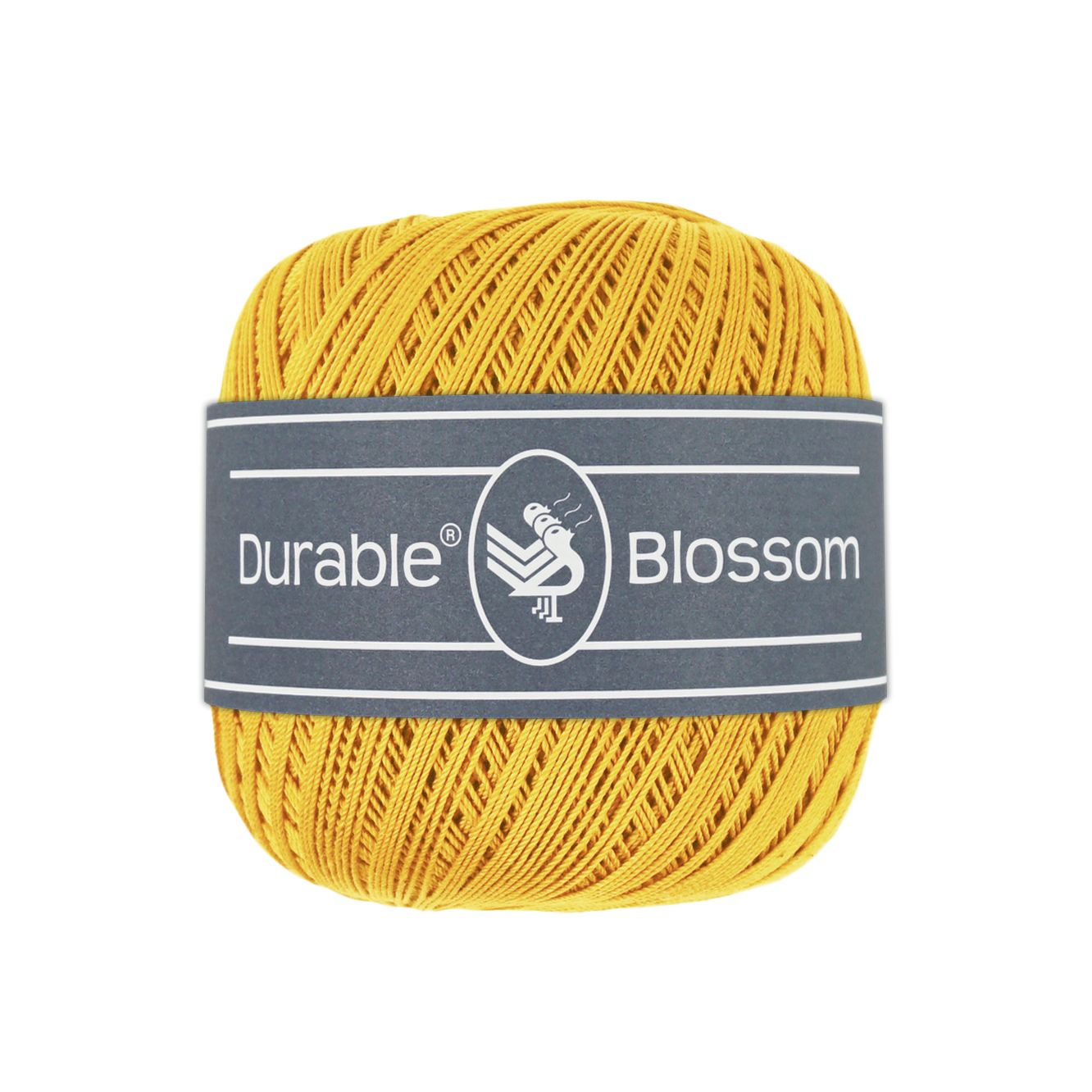 Blossom