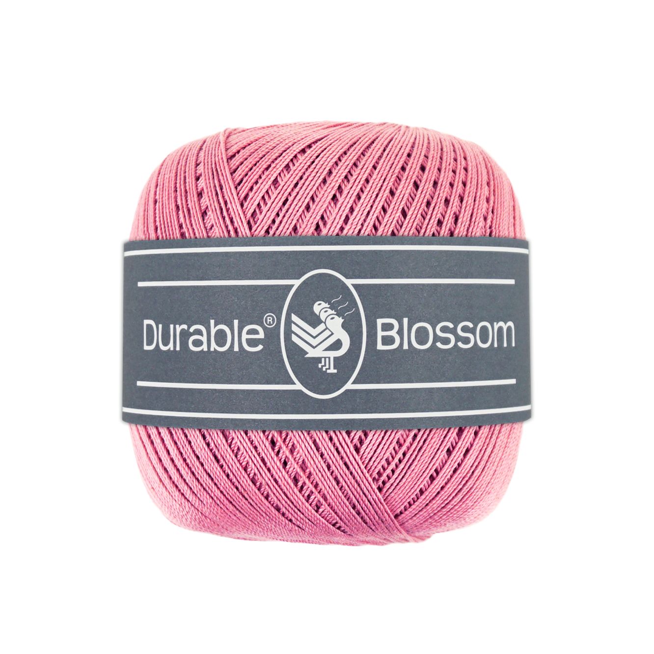 Blossom