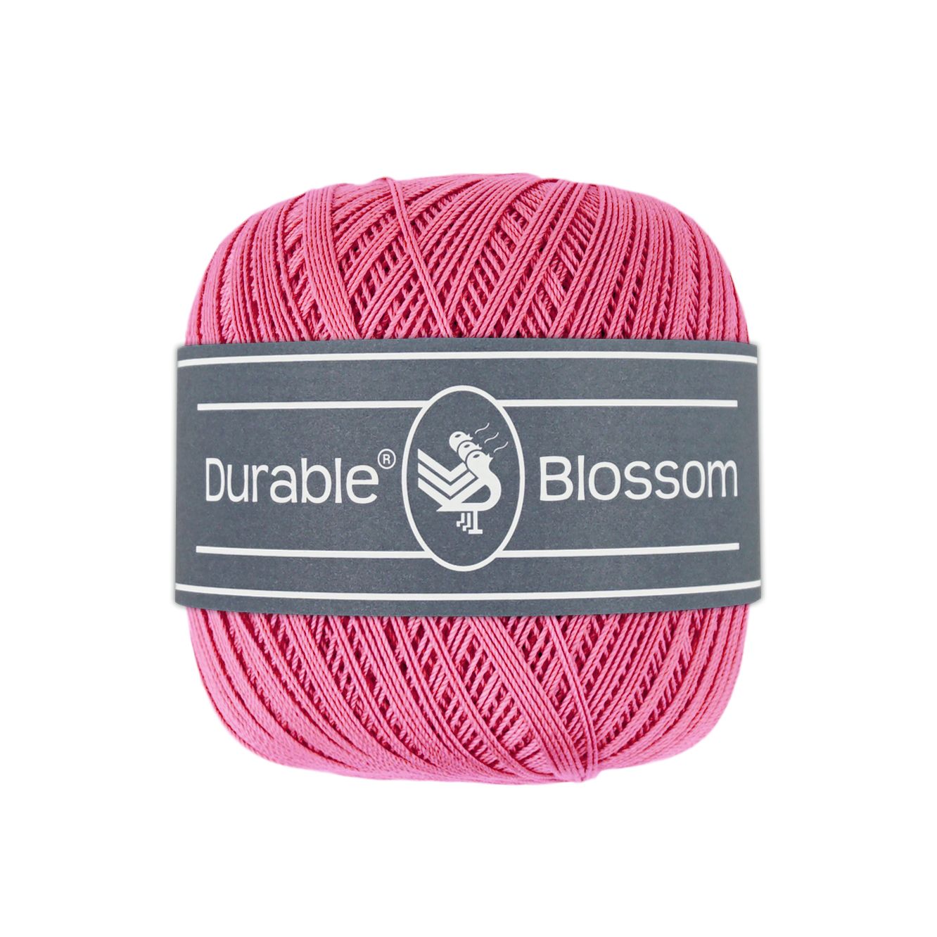 Blossom