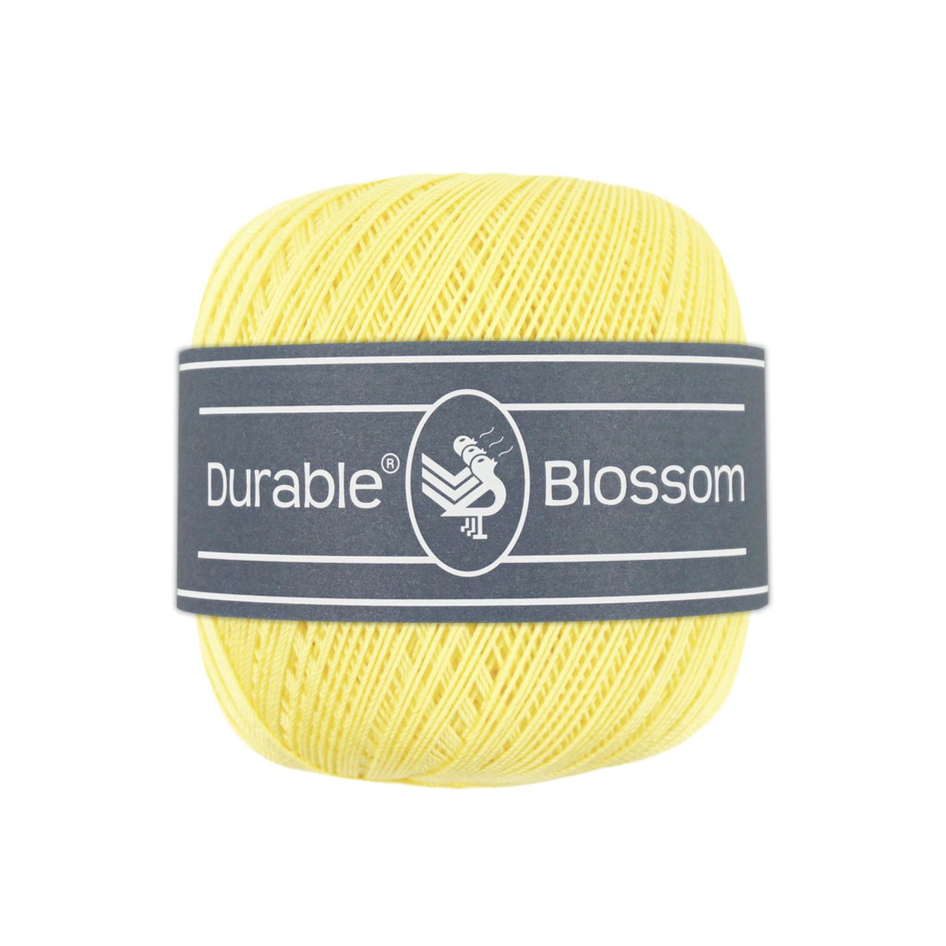 Blossom