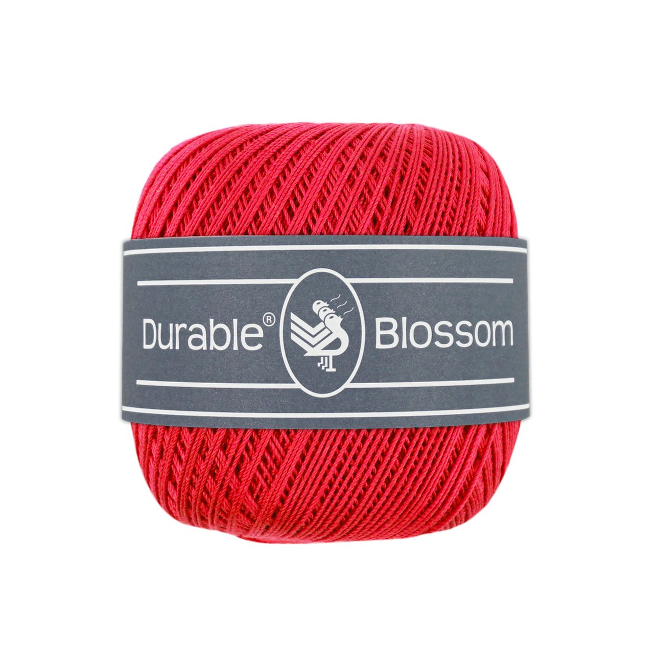 Blossom