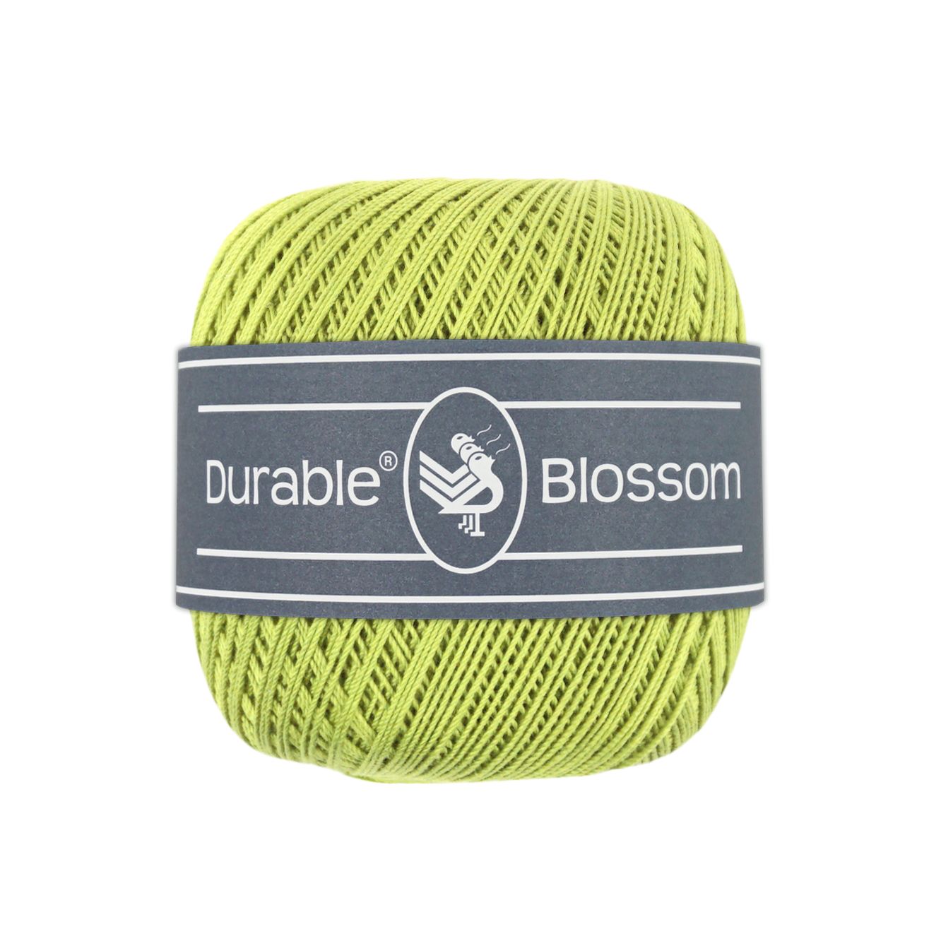 Blossom