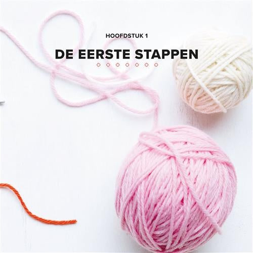 Compleet handboek Granny Squares
