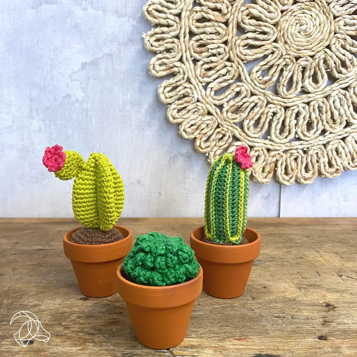 Cactussen haakpakket