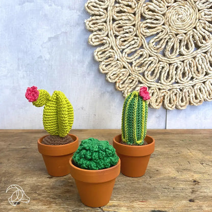 Cactussen haakpakket