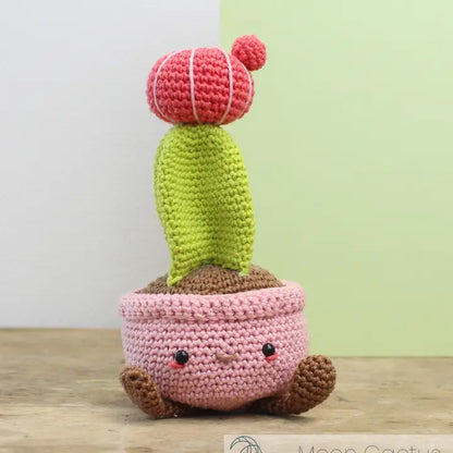 Maan Cactus haakpakket