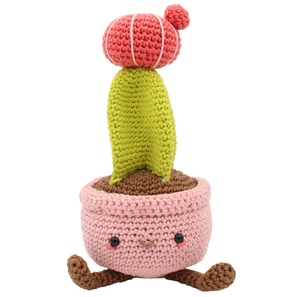Maan Cactus haakpakket
