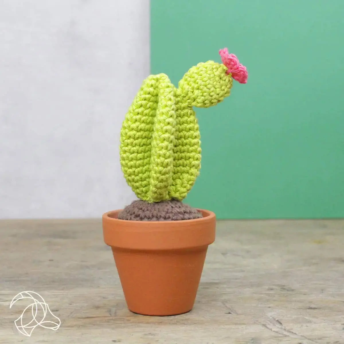 Cactussen haakpakket