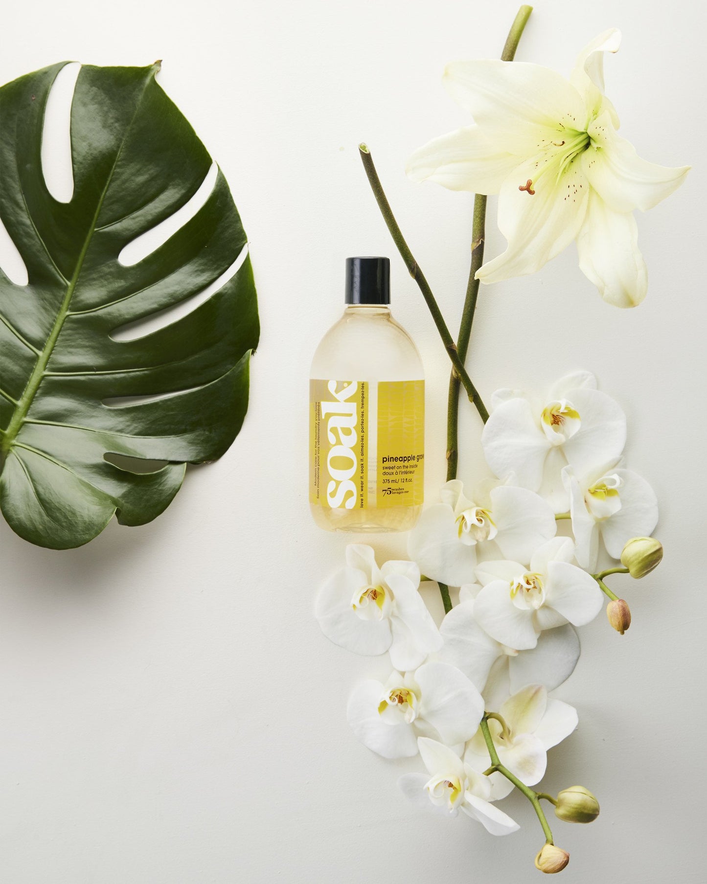 Soak Handwasmiddel 90ml in Pineapple Grove – Perfect voor brei- en haakwerk