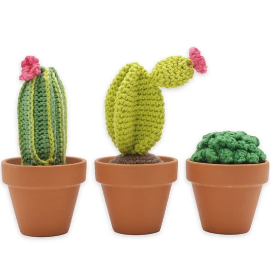 Cactussen haakpakket – Complete kit met katoengaren en fournituren