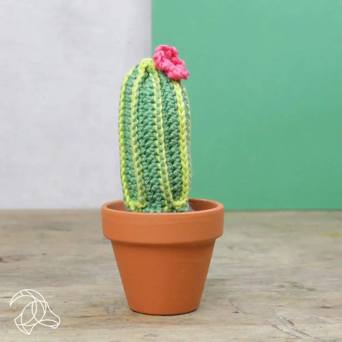Cactussen haakpakket