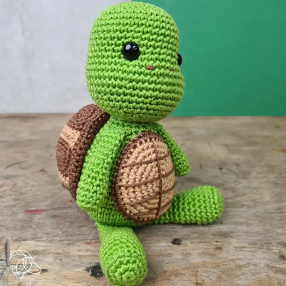 Siem Schildpad haakpakket
